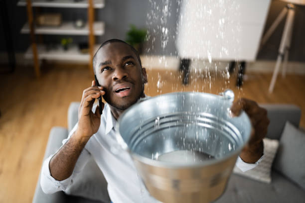 Best Local water damage restoration  in Acton, CA