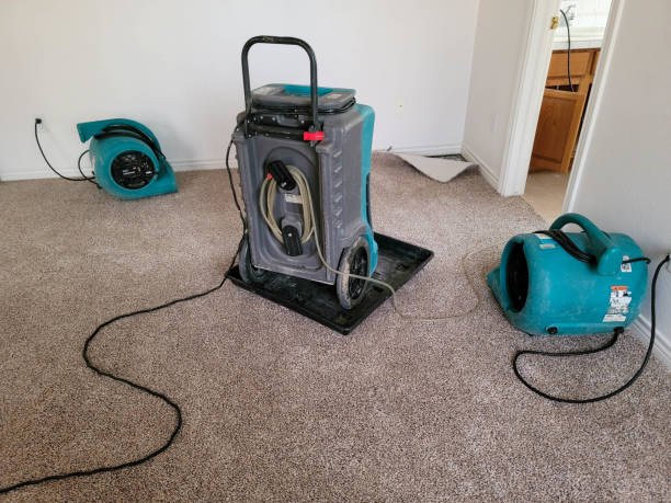 Best Emergency water damage restoration  in Acton, CA