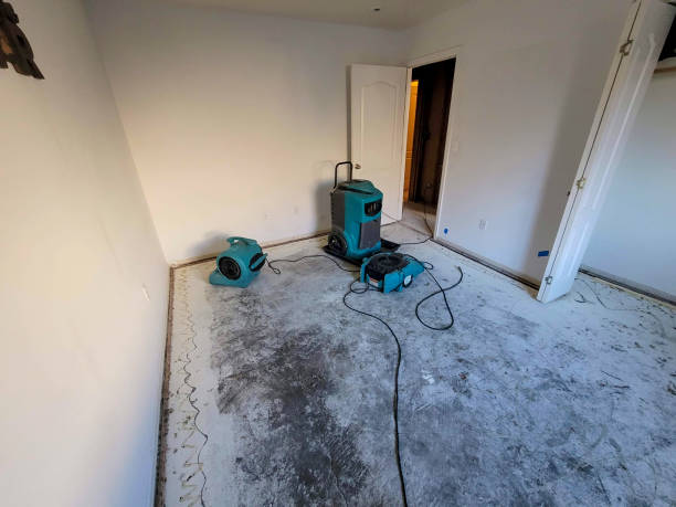 Best Residential water damage restoration  in Acton, CA
