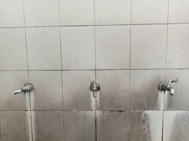 Best Water damage restoration near me  in Acton, CA