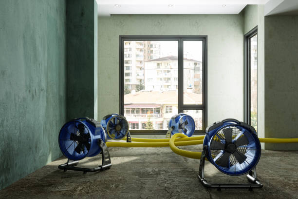 Best Carpet water damage restoration  in Acton, CA